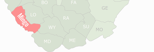 Mingo County Map
